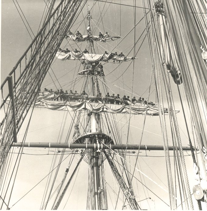 04coperta alberata.jpg